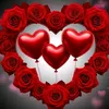 allaasd11