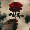 queengirl55678