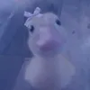 saragtt24