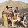 kmcharbaloch090