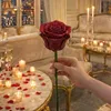 rania.dawod23