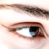 setayesh.nikoo