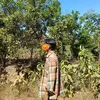 narnar0145