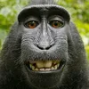 stupid_banana55