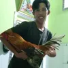 minh13693