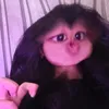 acquydethuong52