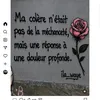 fanndelaqueenhouse7