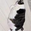 illumirbl