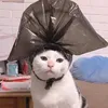 waluy_1