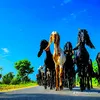 nazamanwar7