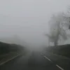s1ll7_mu51c_4dd1ct