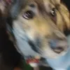 alexkop43