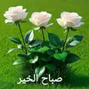 .cham