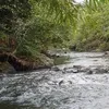tamariau5