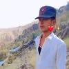 shraeefali179