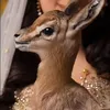 Rahaf