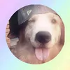 11xxrainbowxx11