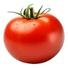 tomato228.67
