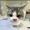 koiru_nnn
