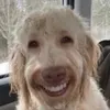 samtheman662