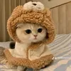 ajarah_05