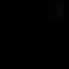 team_negro995