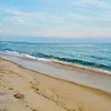 msalvs8