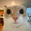 heheheha0107