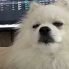 makendy999