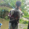 myanmaraya