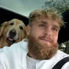 Jake Paul 🥊🤼