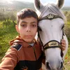 kardh33