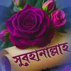 sadia.khan17298