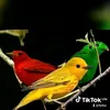 yitay.alemayehu