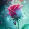 mahmood.nasir33