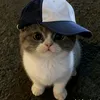 m..rasyid77