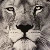 futurelegendary22