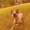 veltix_wx