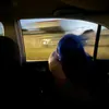 vmpgurl1
