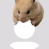 giatocroitudo