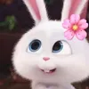 isabellaescobedo43