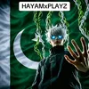 hayam313i