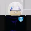 camllmm123_script_hack