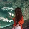 yusubovanin_gundeliyi