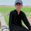 ameenalipanhwar34