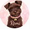 ohheyitsremi