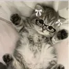 sashko_638