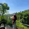 mamoy479