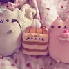 kiwisfishbowls0