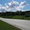 amormio8490